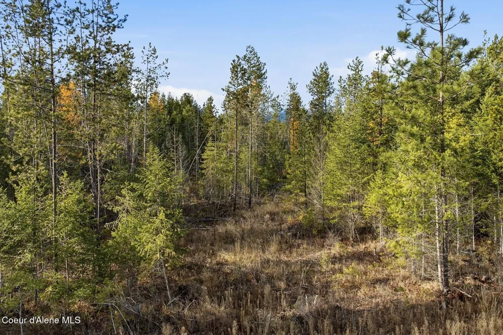 Lot 3 Poulton Way Bonners Ferry, ID 83805