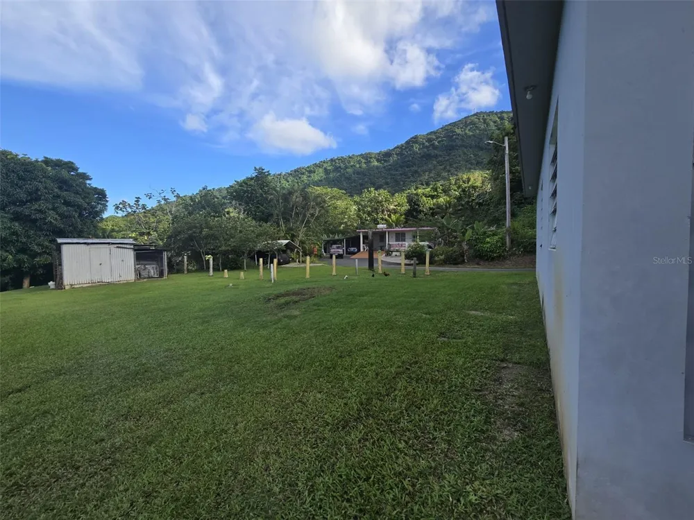PR 3 BARRIO JUAN MARTIN Yabucoa, PR 00767