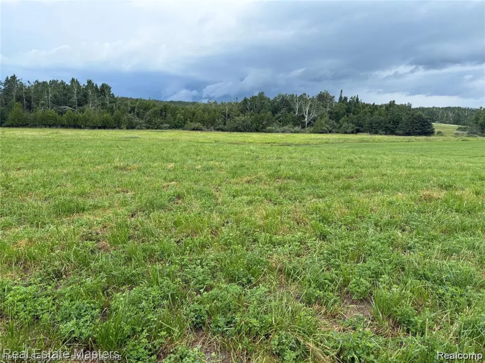 300 W Hubert Road Caledonia Township, MI 48762