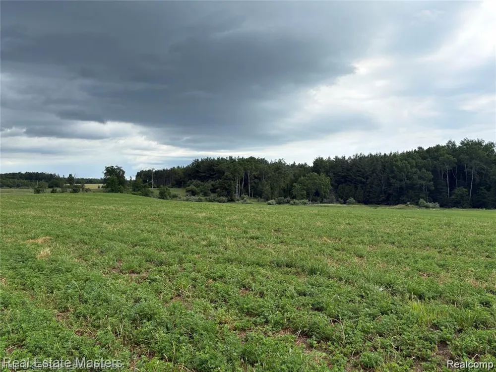 300 W Hubert Road Caledonia Township, MI 48762