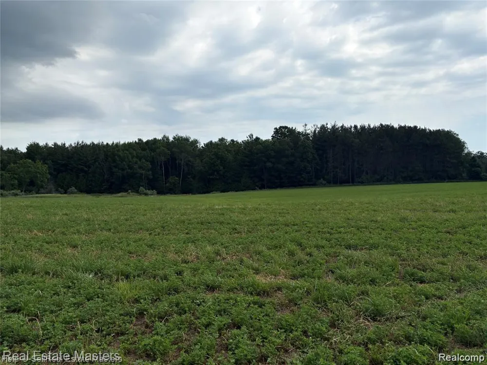 300 W Hubert Road Caledonia Township, MI 48762