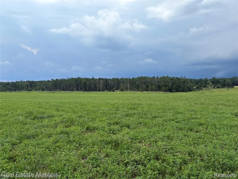 300 W Hubert Road Caledonia Township, MI 48762