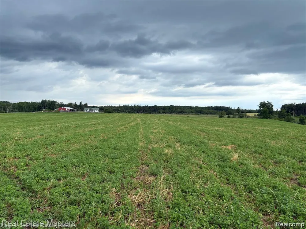300 W Hubert Road Caledonia Township, MI 48762