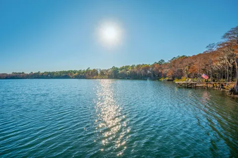 516 Blue Pond Circle
