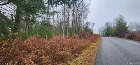 Thompson Road