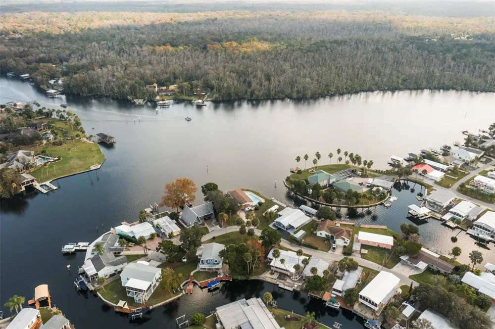 10199 W BLUE SPRINGS COURT Homosassa, FL 34448
