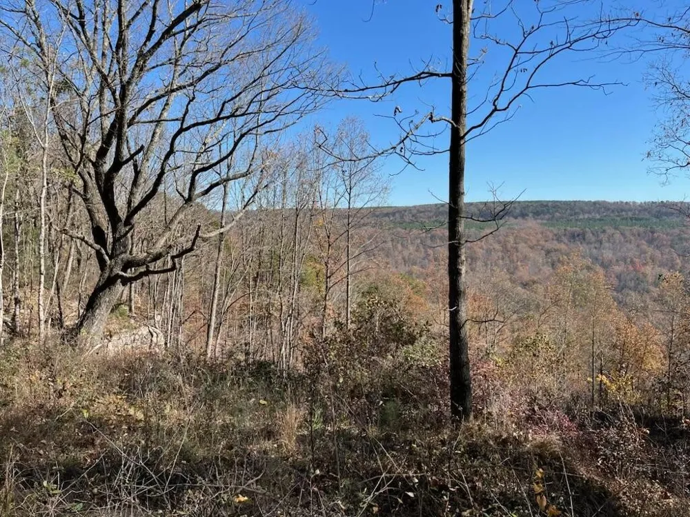 4690 Split Rail Way Guild, TN 37340
