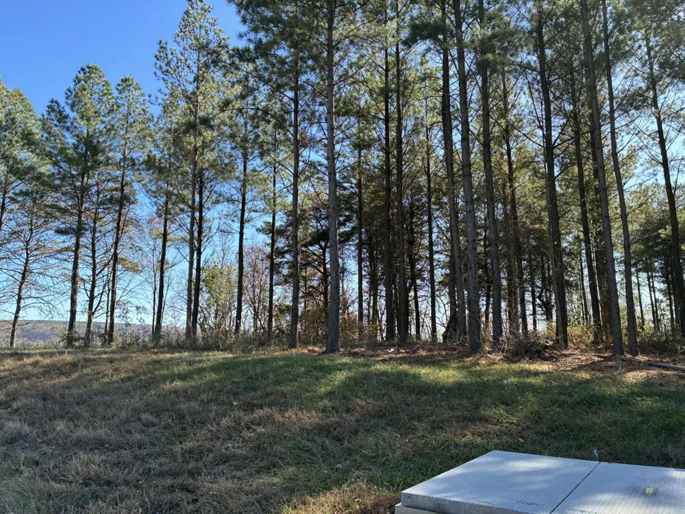4690 Split Rail Way Guild, TN 37340