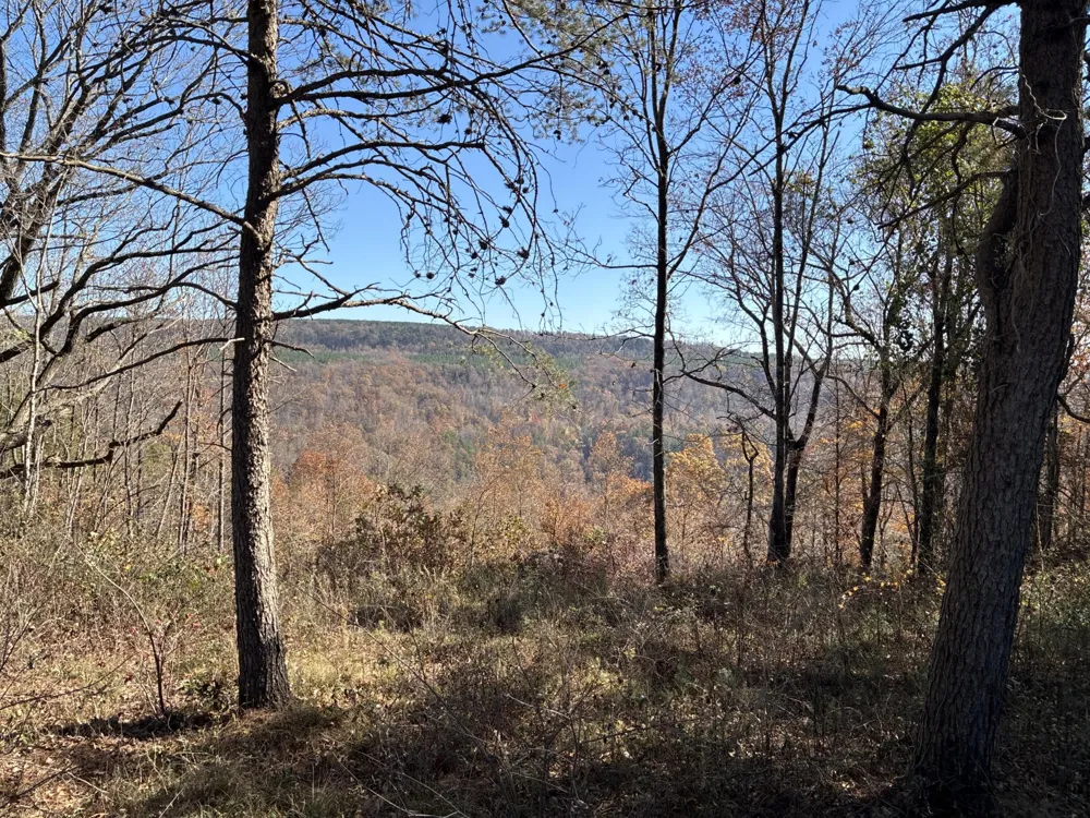 4690 Split Rail Way Guild, TN 37340