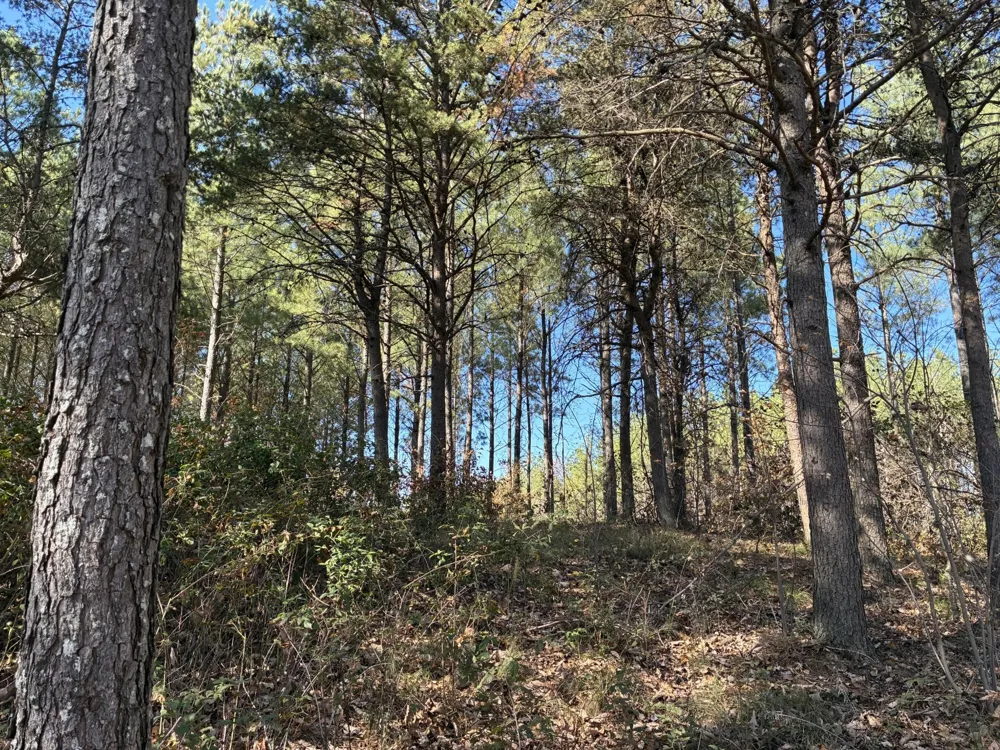 4690 Split Rail Way Guild, TN 37340