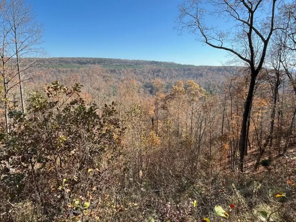 4690 Split Rail Way Guild, TN 37340