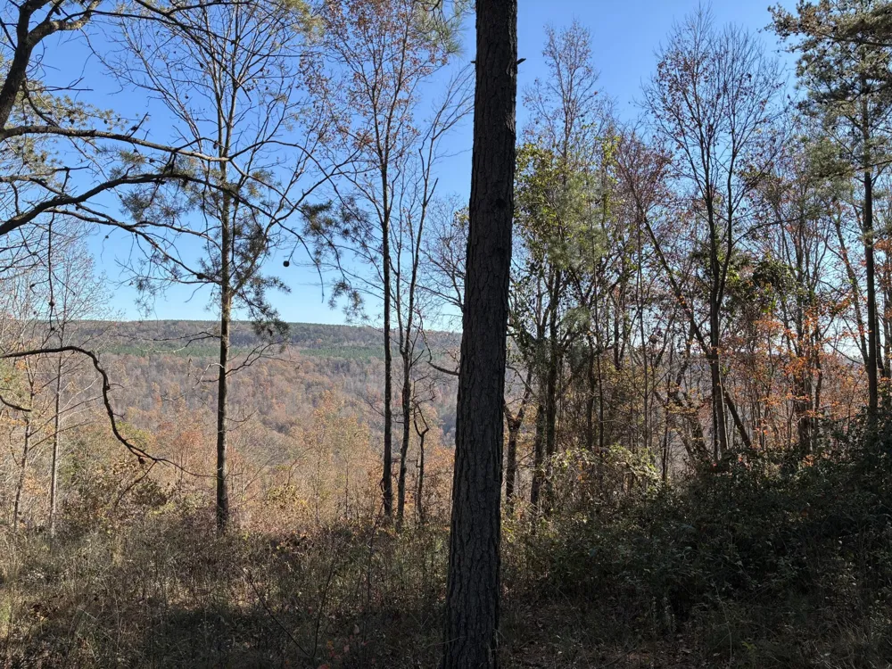 4690 Split Rail Way Guild, TN 37340
