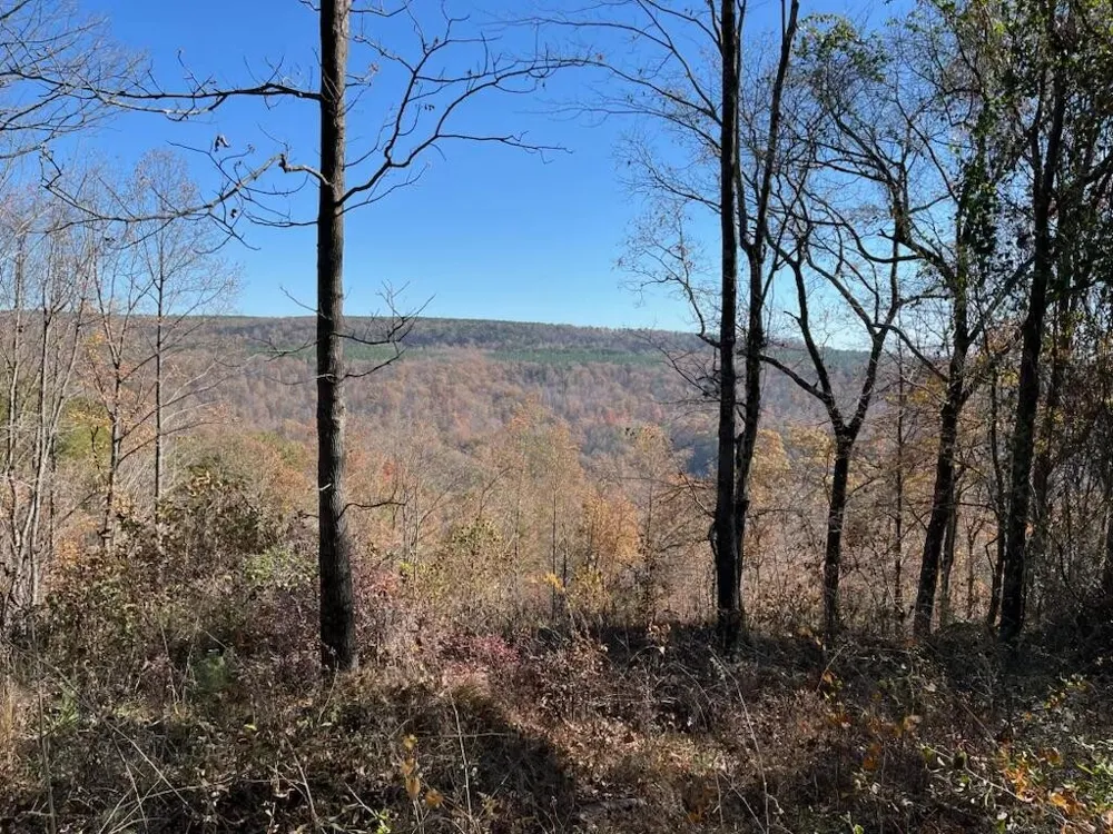 4690 Split Rail Way Guild, TN 37340