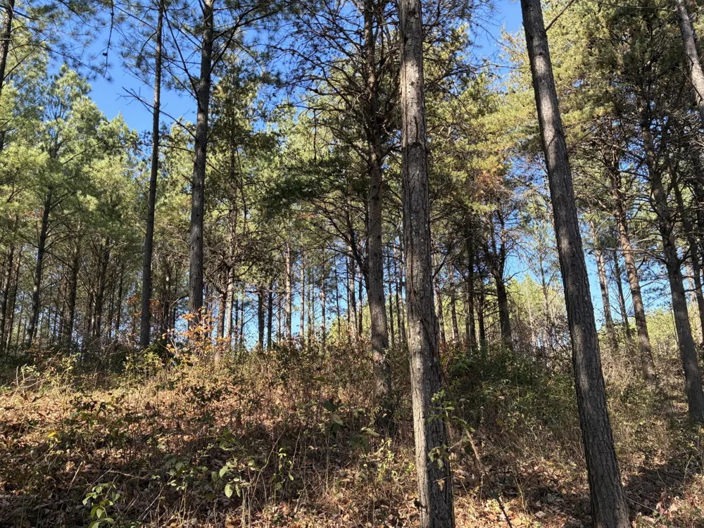 4690 Split Rail Way Guild, TN 37340