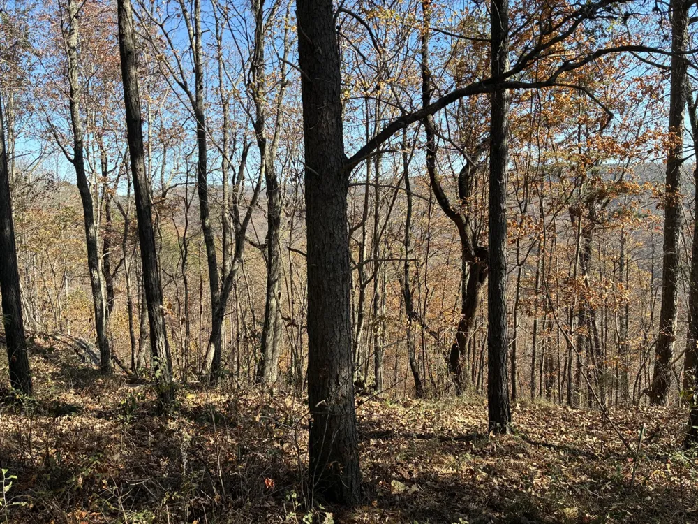 4690 Split Rail Way Guild, TN 37340