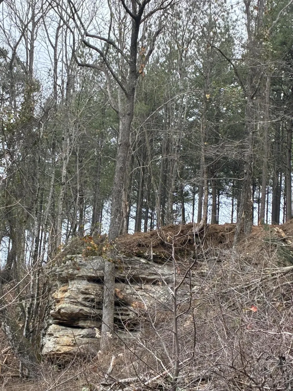 4690 Split Rail Way Guild, TN 37340