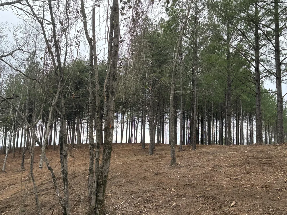 4690 Split Rail Way Guild, TN 37340