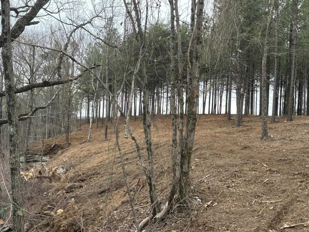 4690 Split Rail Way Guild, TN 37340