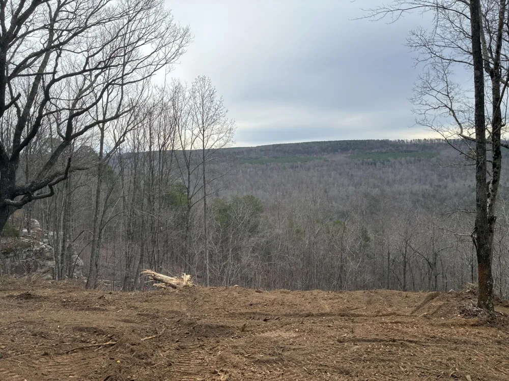 4690 Split Rail Way Guild, TN 37340