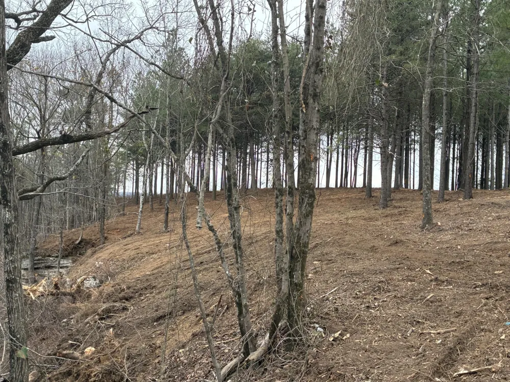 4690 Split Rail Way Guild, TN 37340