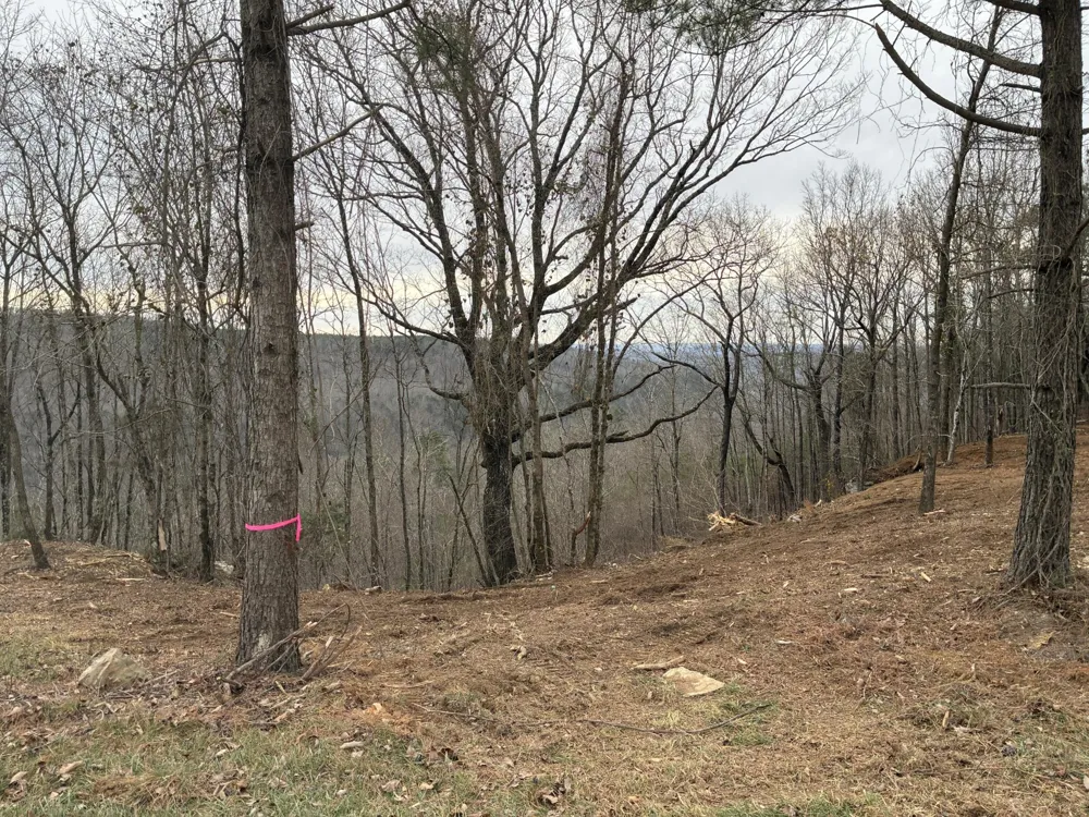 4690 Split Rail Way Guild, TN 37340