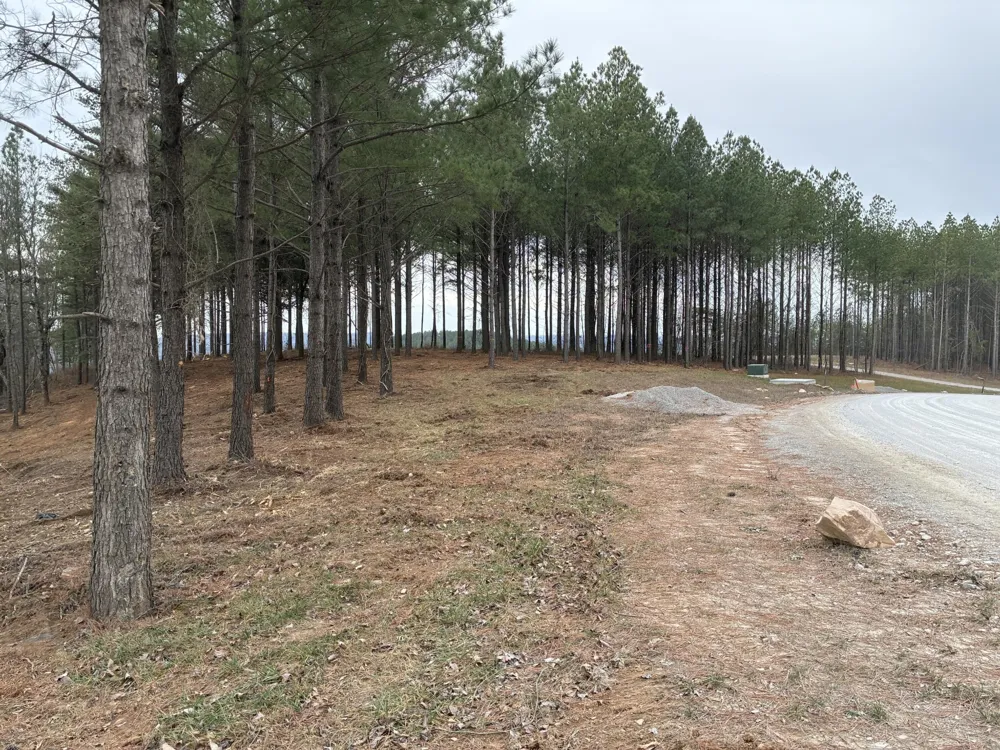 4690 Split Rail Way Guild, TN 37340
