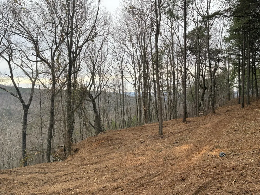 4690 Split Rail Way Guild, TN 37340
