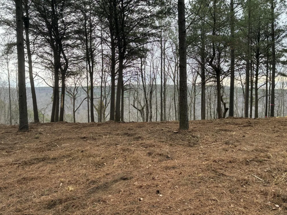 4690 Split Rail Way Guild, TN 37340