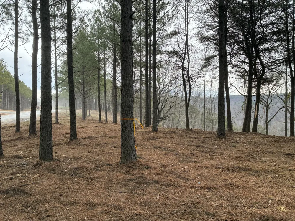 4690 Split Rail Way Guild, TN 37340