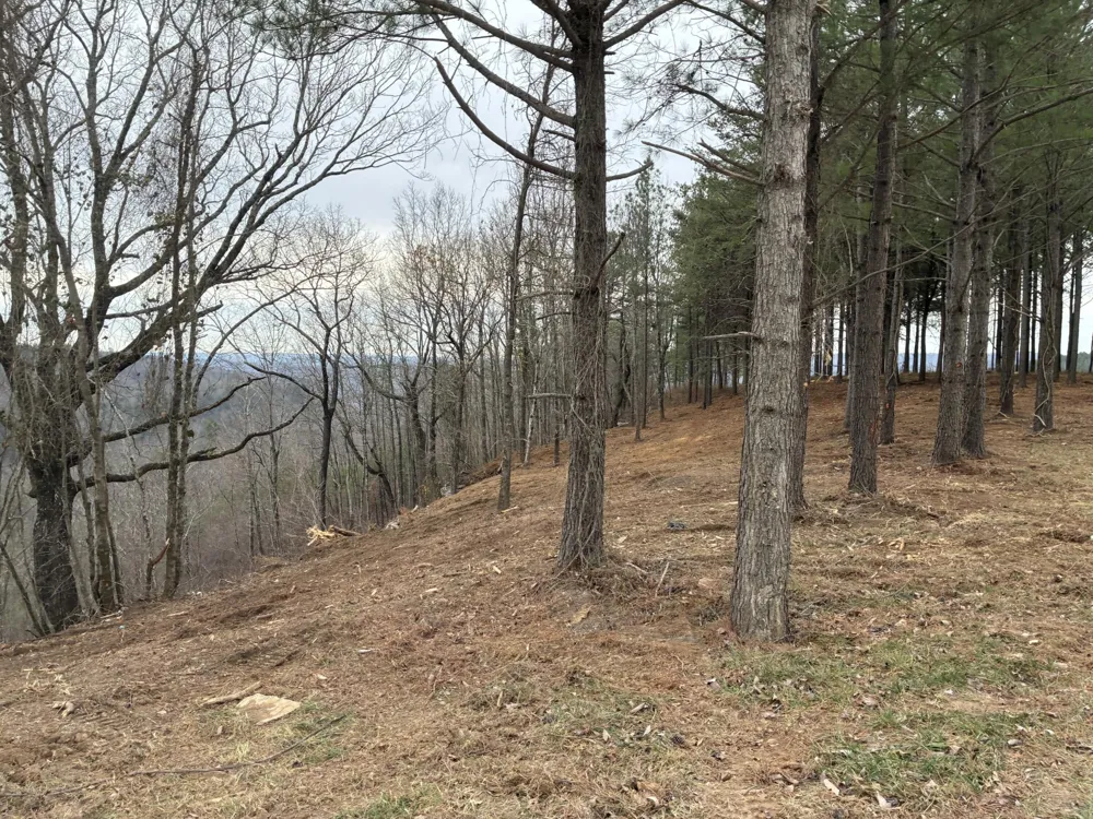 4690 Split Rail Way Guild, TN 37340