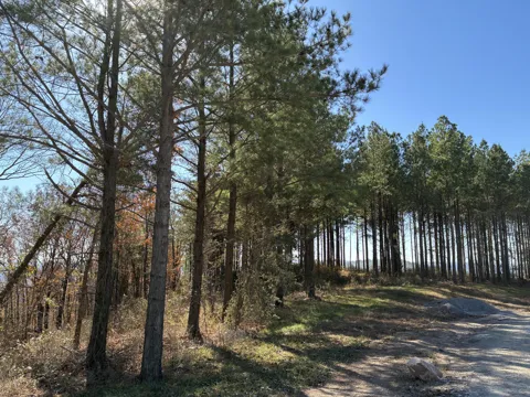 4690 Split Rail Way