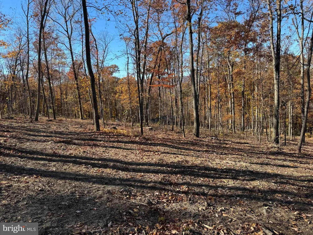 0 DIGGING BEAR LN Hillsboro, VA 20132