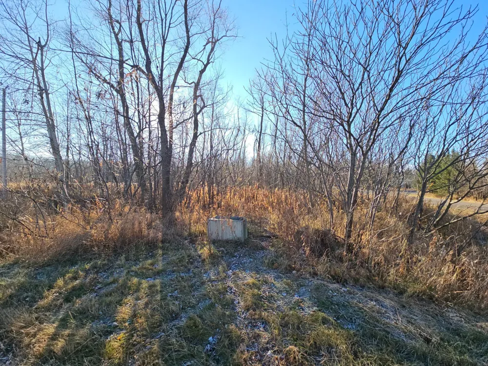 TBD Whistle Road/Hwy 47 Isle, MN 56342