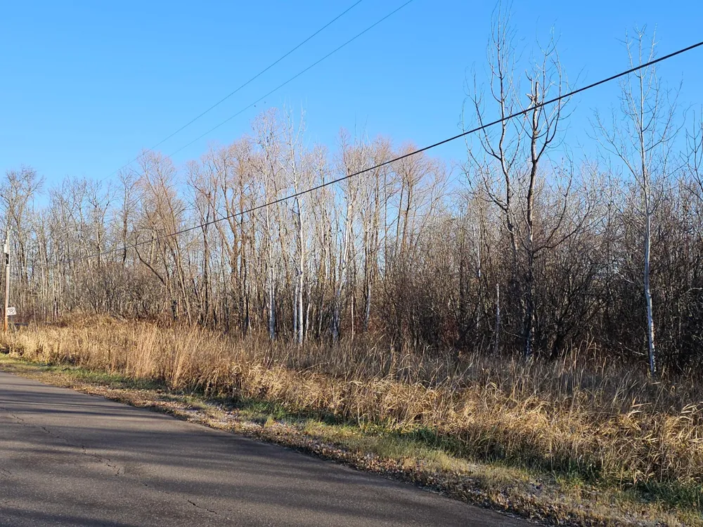 TBD Whistle Road/Hwy 47 Isle, MN 56342