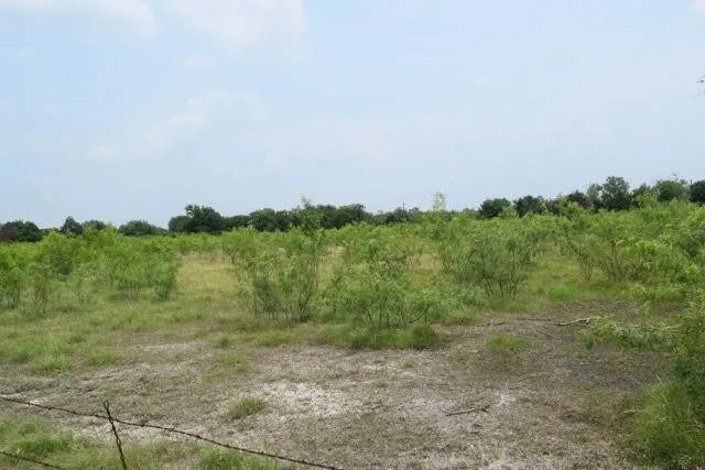 Cr-283 Terrell, TX 75160