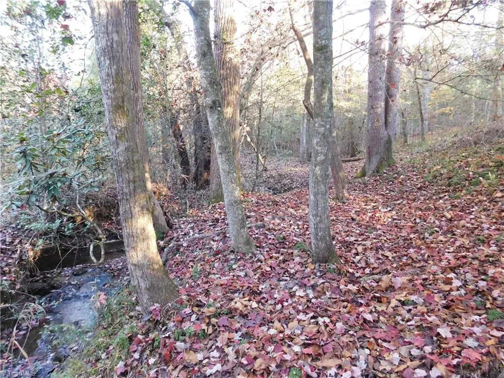 00 Billings Hill Church Road Traphill, NC 28685
