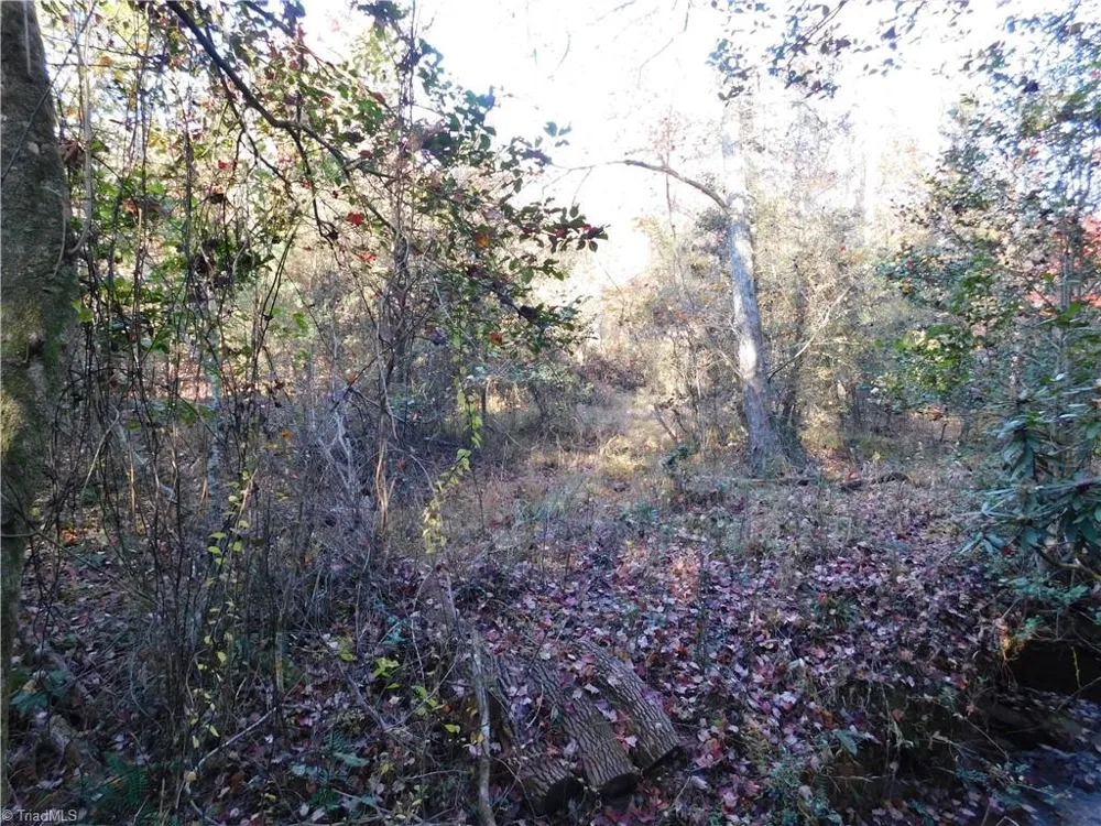 00 Billings Hill Church Road Traphill, NC 28685