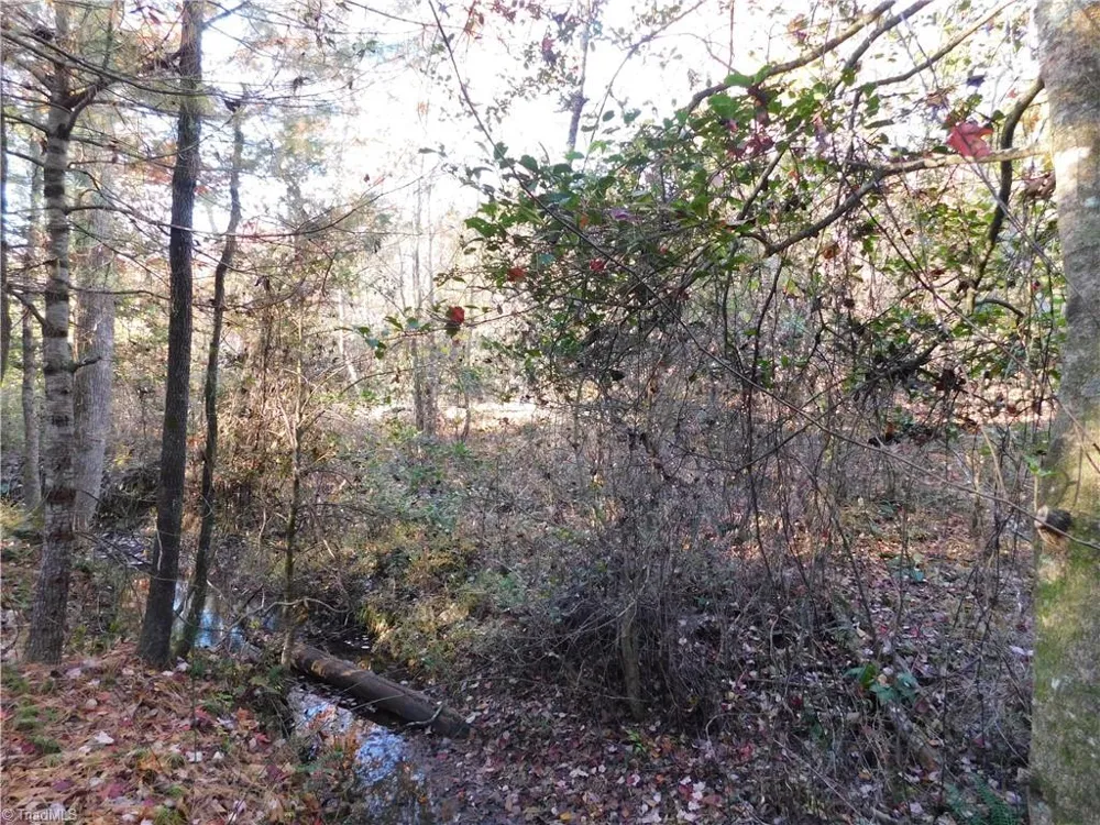 00 Billings Hill Church Road Traphill, NC 28685