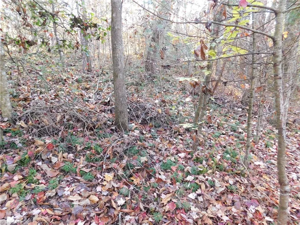 00 Billings Hill Church Road Traphill, NC 28685
