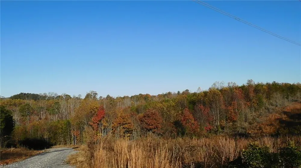 00 Billings Hill Church Road Traphill, NC 28685