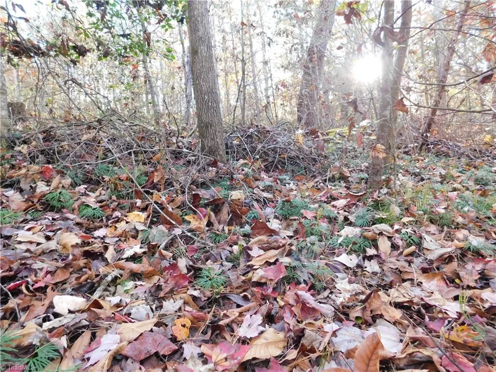 00 Billings Hill Church Road Traphill, NC 28685