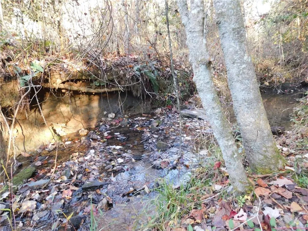 00 Billings Hill Church Road Traphill, NC 28685