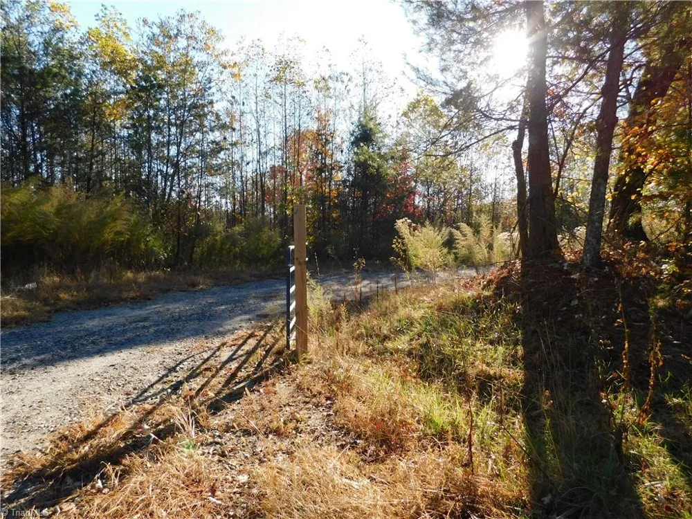 00 Billings Hill Church Road Traphill, NC 28685