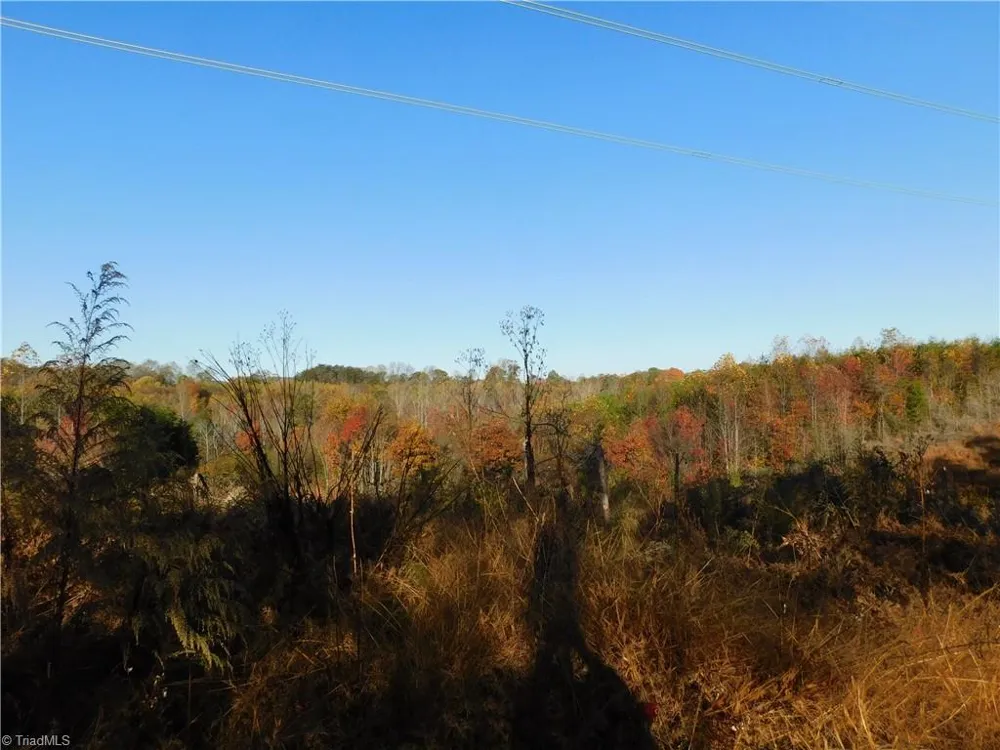 00 Billings Hill Church Road Traphill, NC 28685