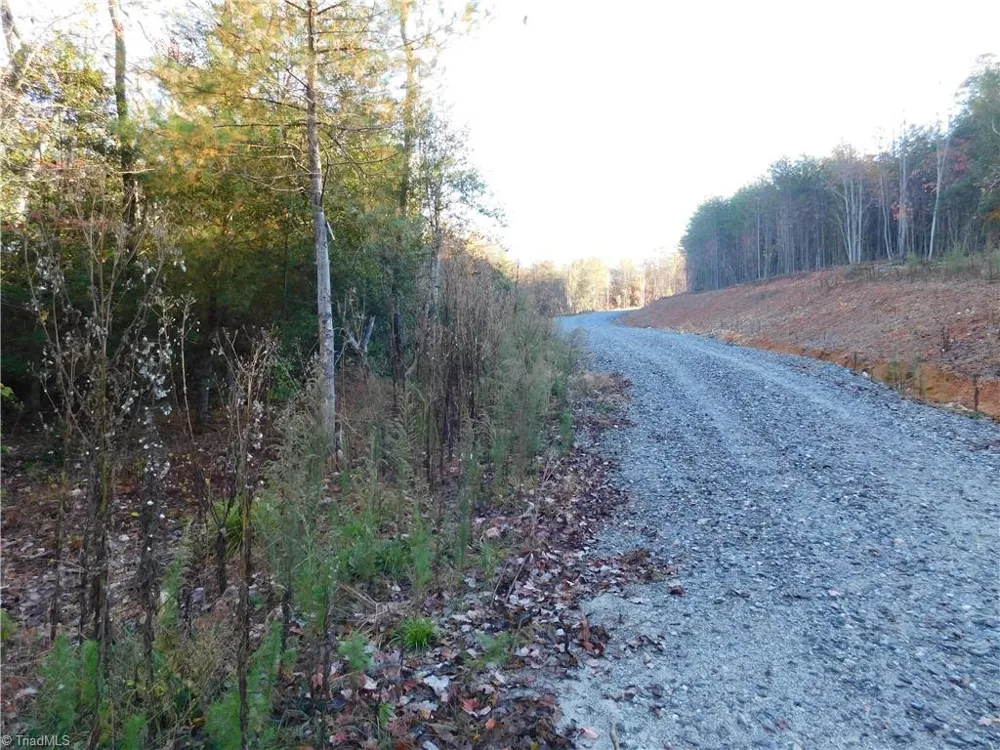00 Billings Hill Church Road Traphill, NC 28685