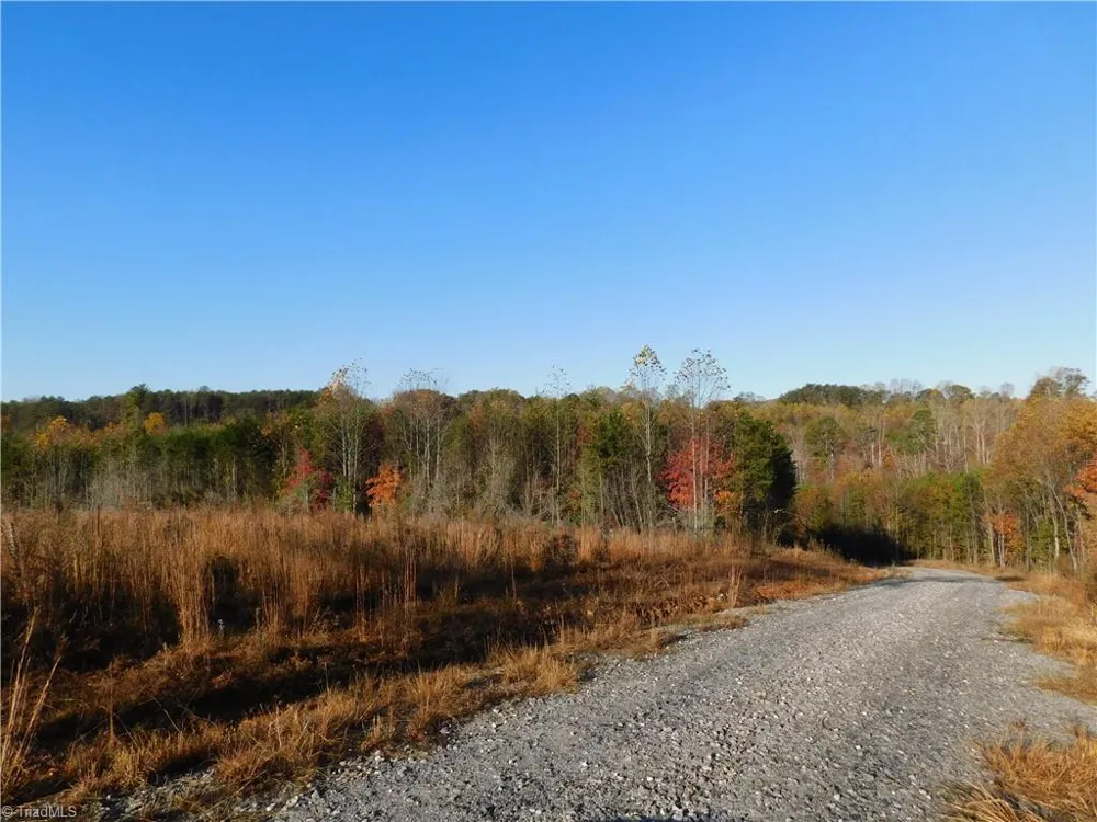 00 Billings Hill Church Road Traphill, NC 28685
