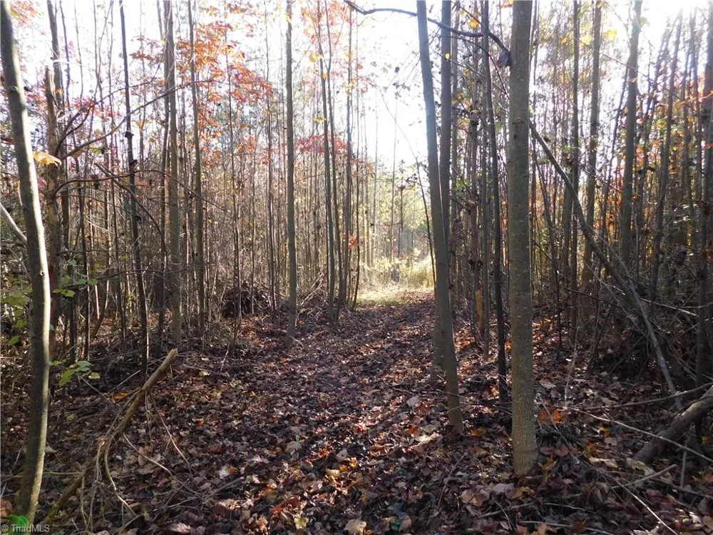 00 Billings Hill Church Road Traphill, NC 28685