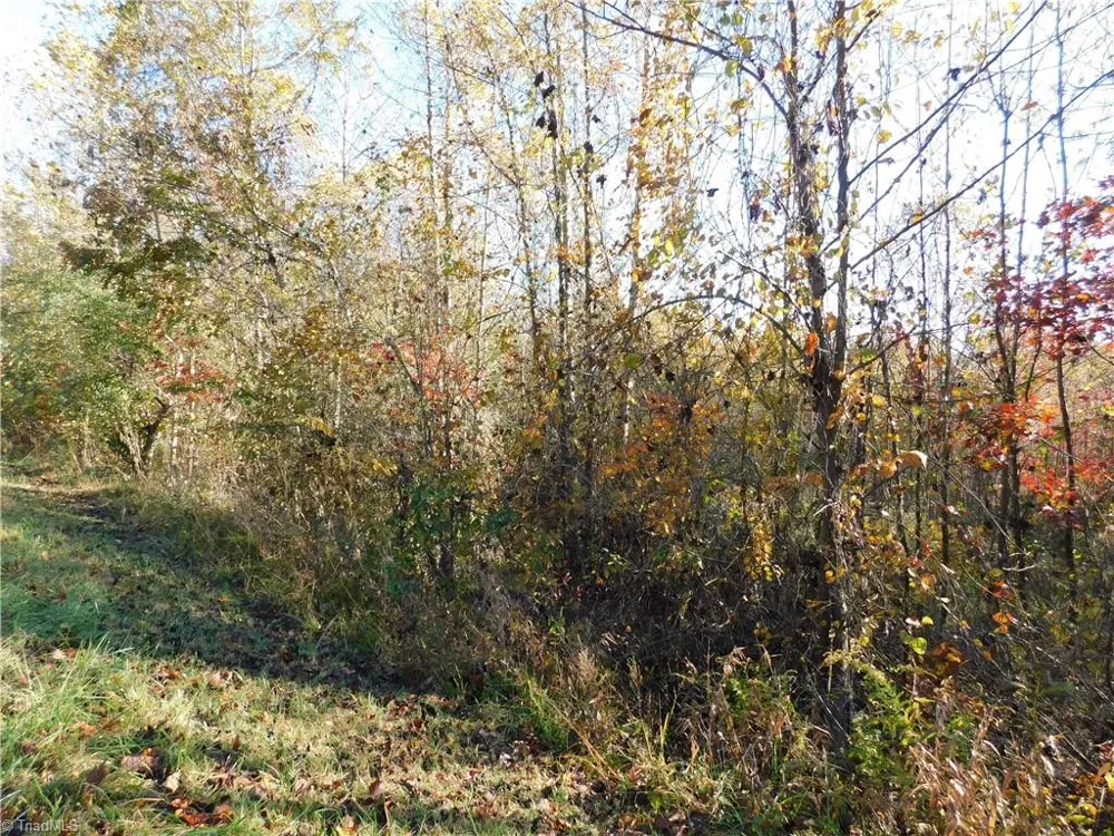 00 Billings Hill Church Road Traphill, NC 28685