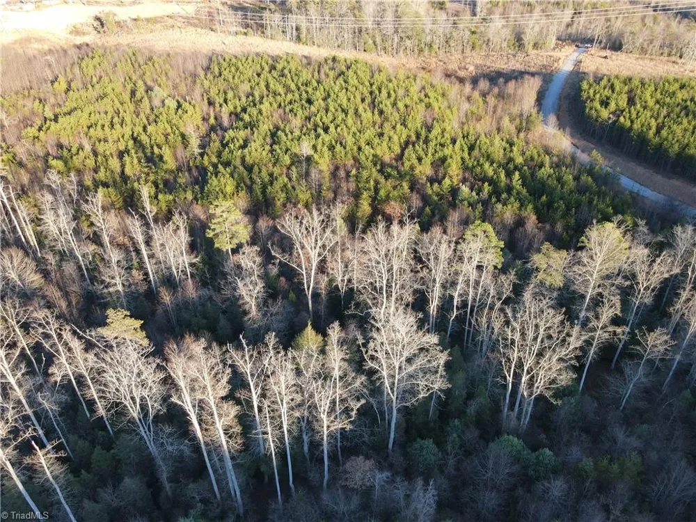 00 Billings Hill Church Road Traphill, NC 28685