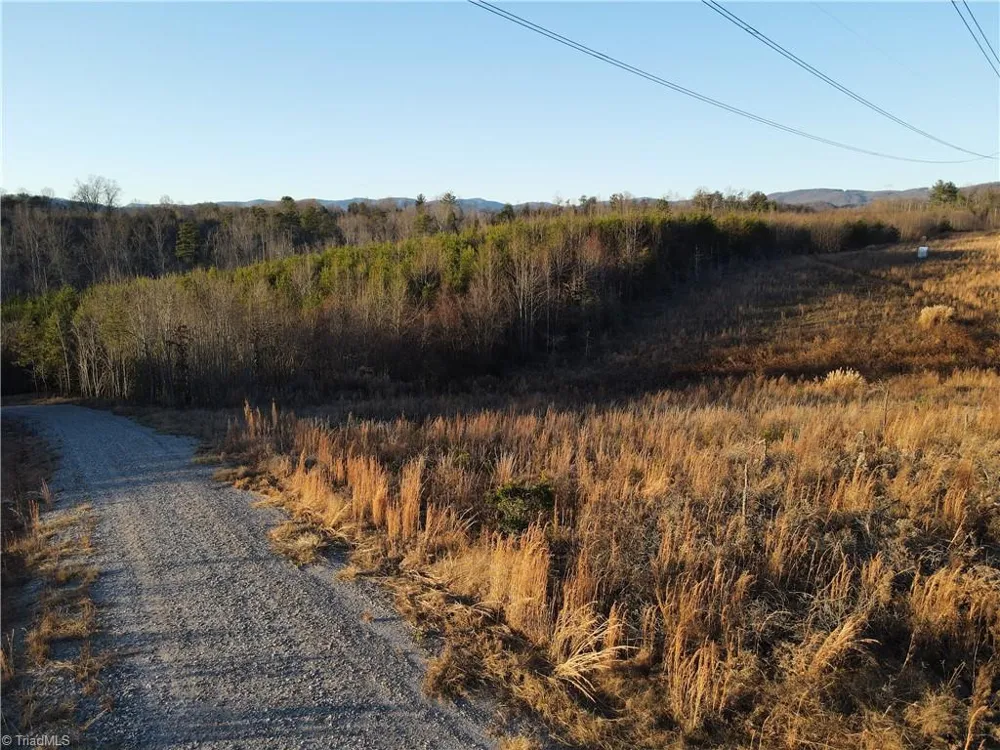 00 Billings Hill Church Road Traphill, NC 28685